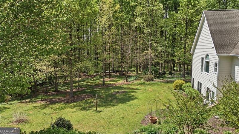 3530 Chicory Creek Drive Cumming - Photo 46