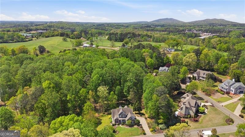 3530 Chicory Creek Drive Cumming - Photo 47