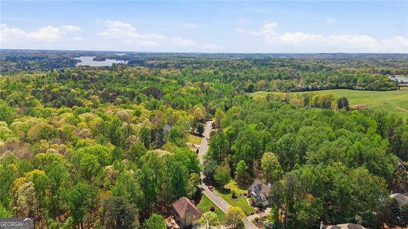 3530 Chicory Creek Drive Cumming - Photo 48