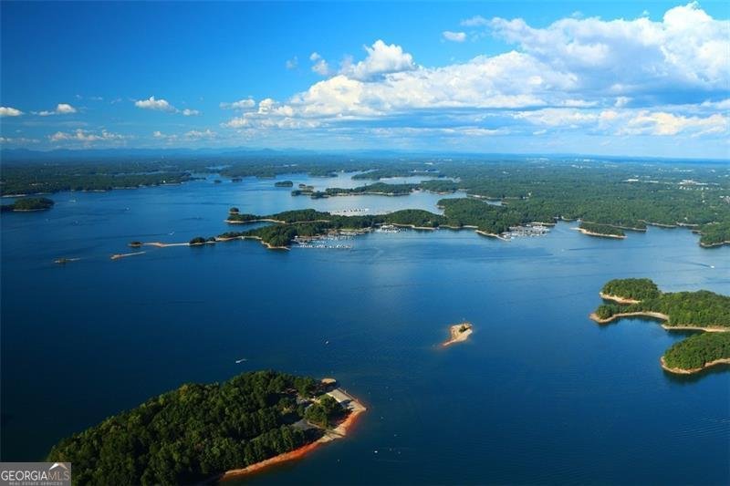 3530 Chicory Creek Drive Cumming - Photo 58