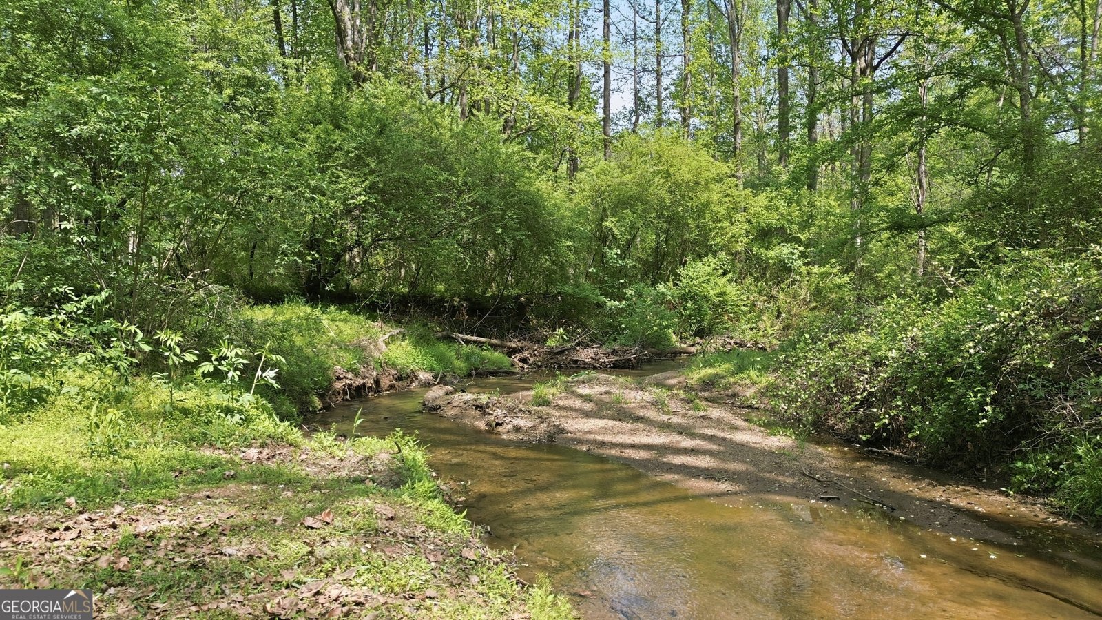 1601 Price Road Martin - Photo 77