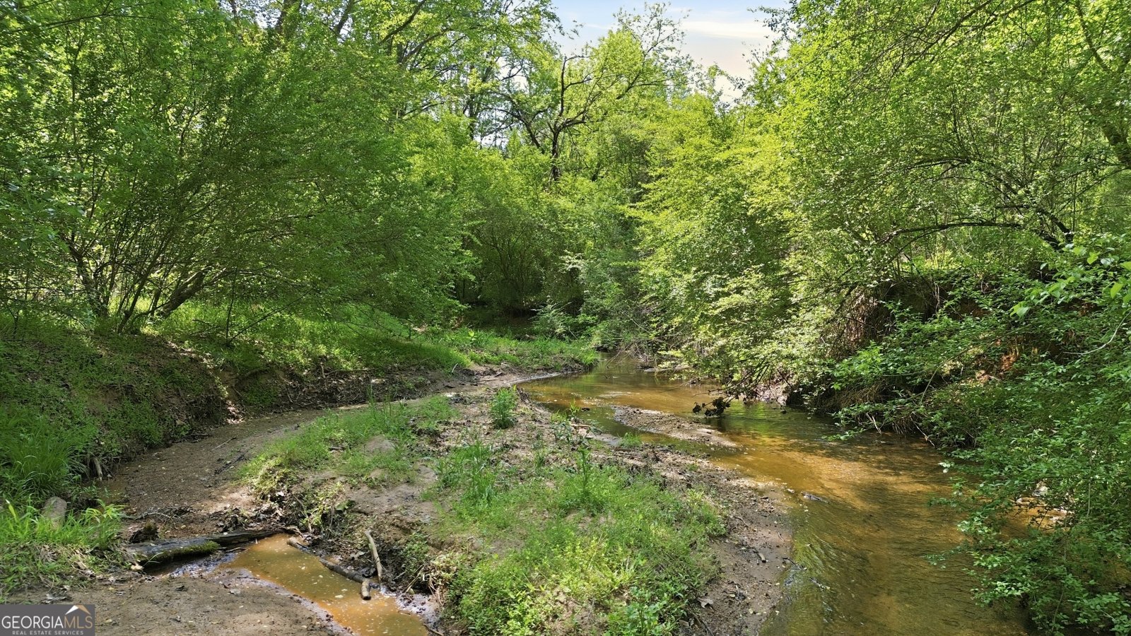 1601 Price Road Martin - Photo 78