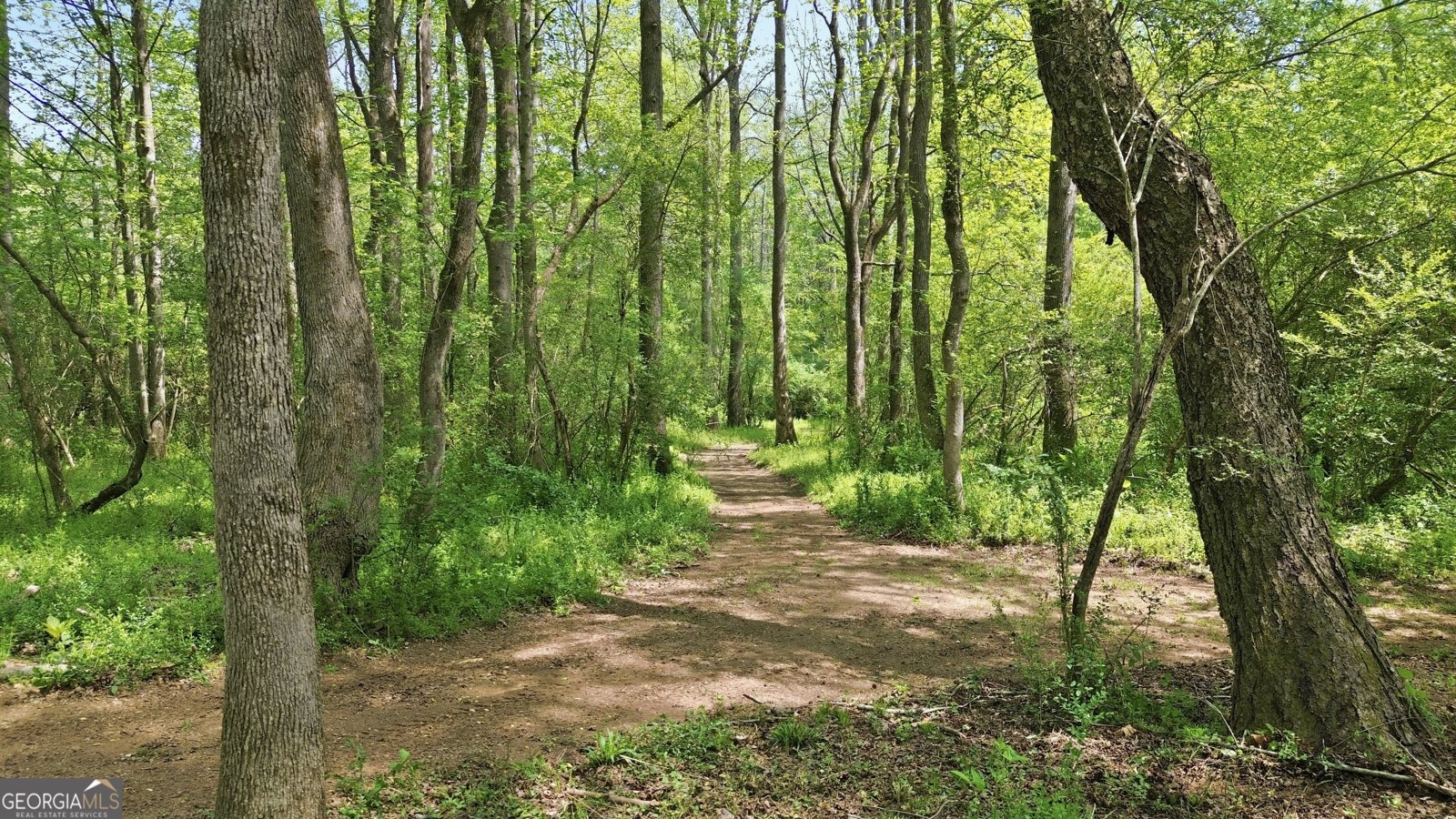 1601 Price Road Martin - Photo 79