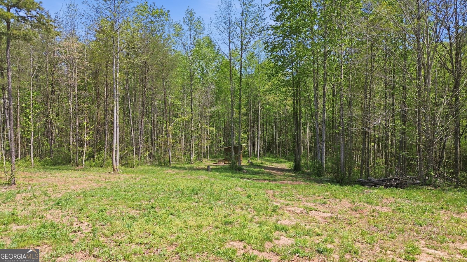 1601 Price Road Martin - Photo 81