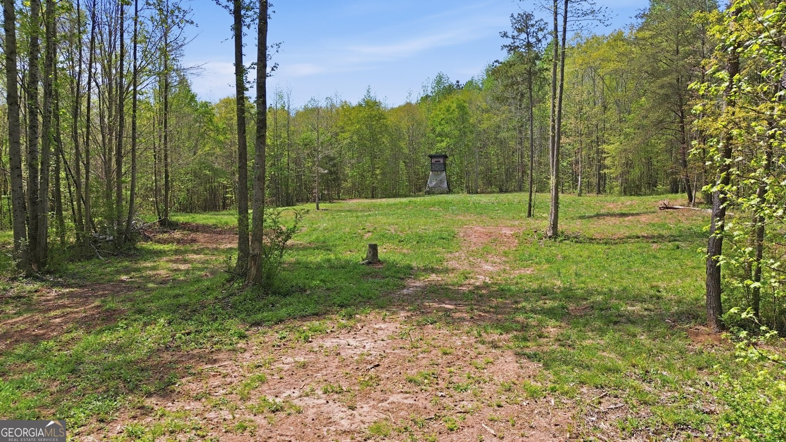 1601 Price Road Martin - Photo 85