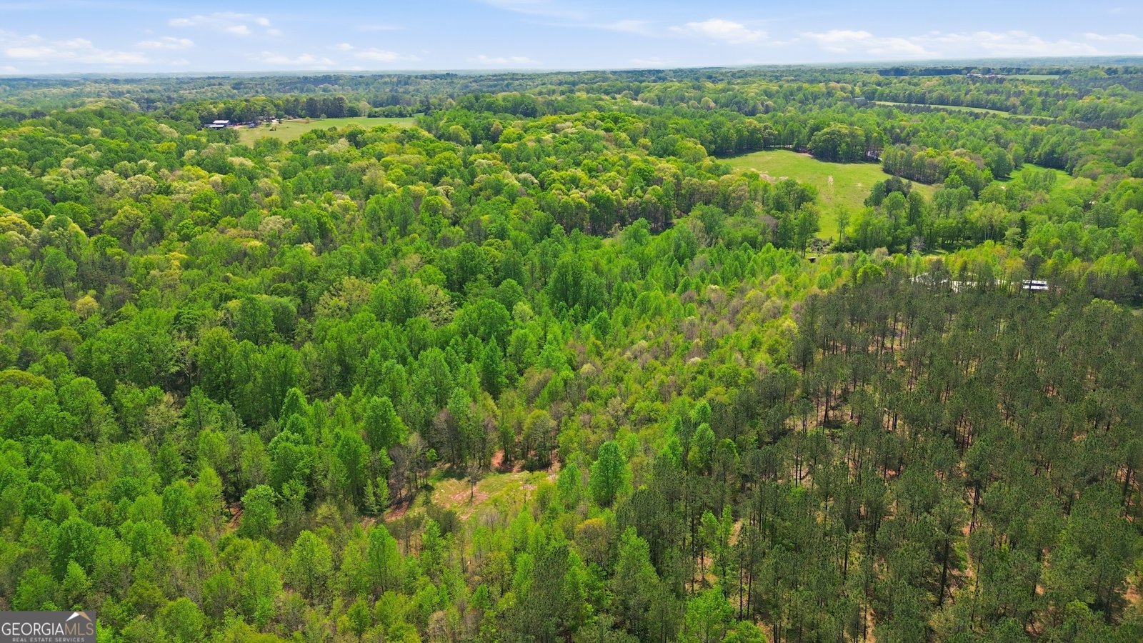 1601 Price Road Martin - Photo 87