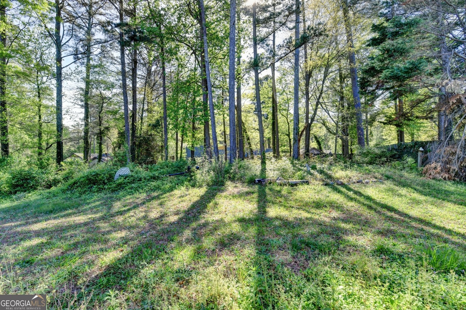 2154 Crystal Lake Drive Lawrenceville - Photo 52