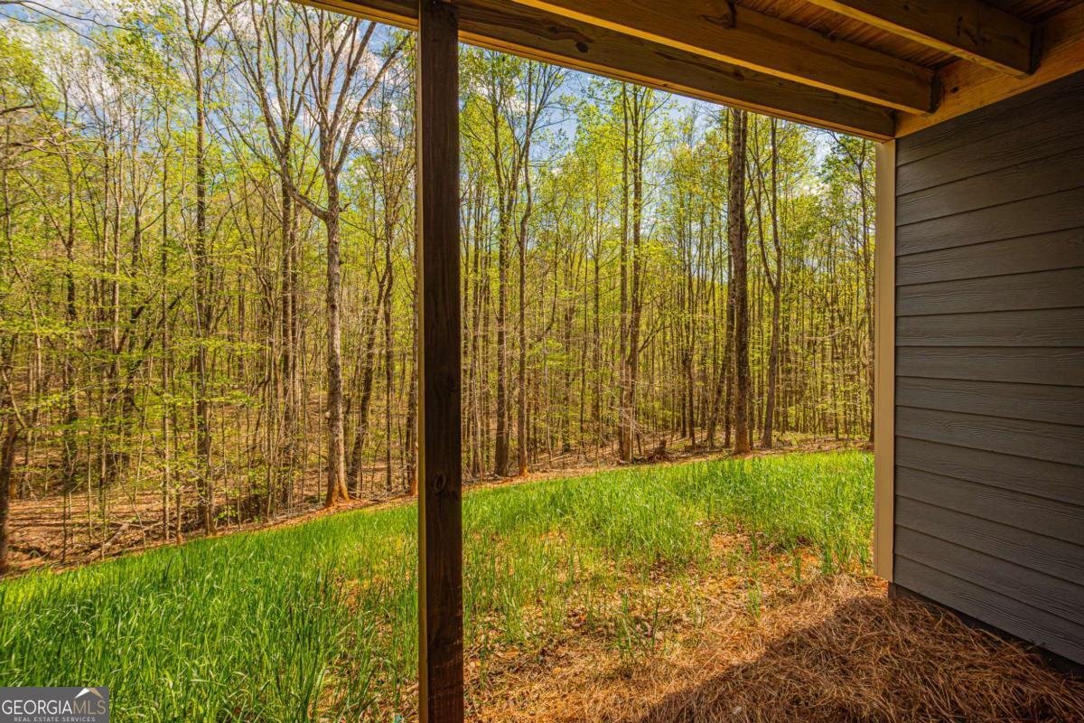 135 Rocky Branch Drive Murrayville - Photo 67