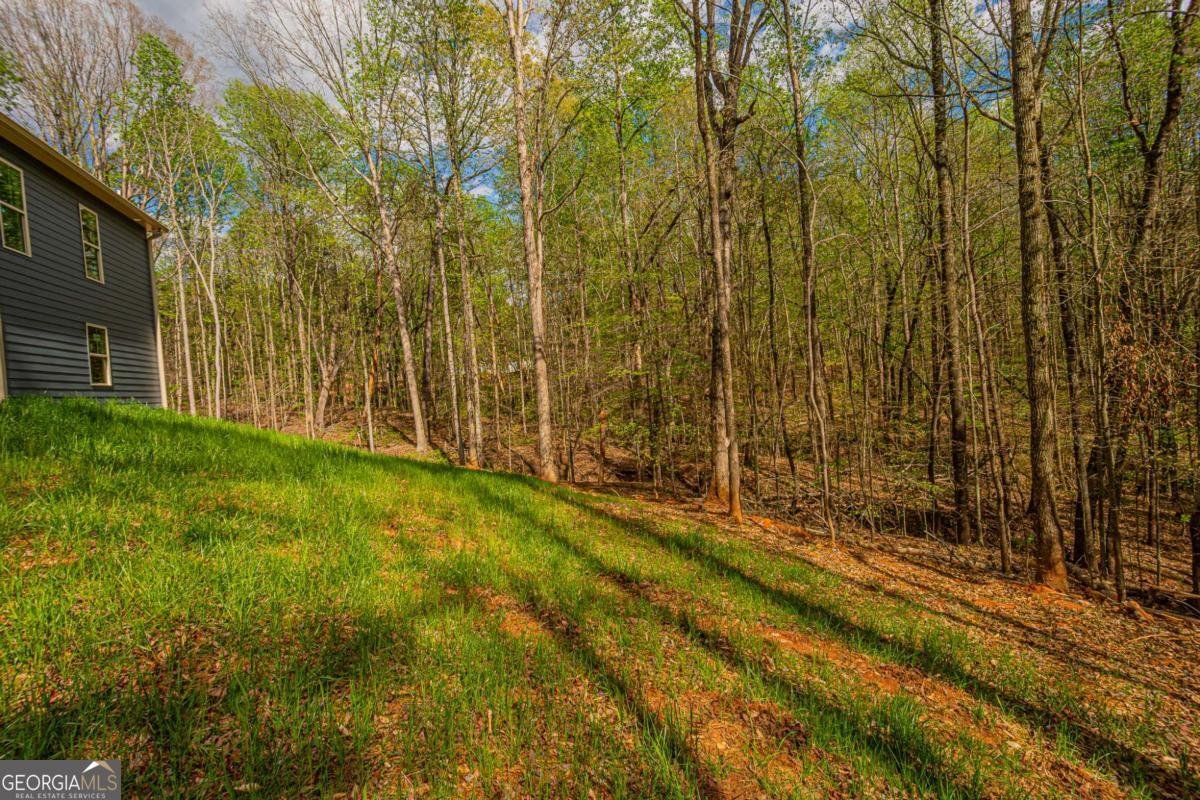 135 Rocky Branch Drive Murrayville - Photo 71