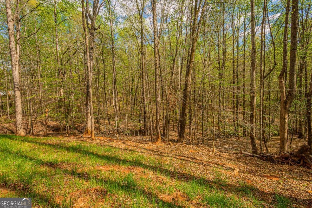 135 Rocky Branch Drive Murrayville - Photo 72