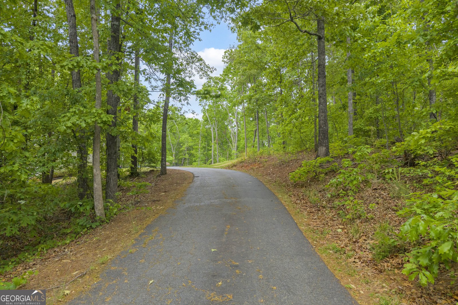 430 A Valley Road Dawsonville - Photo 72