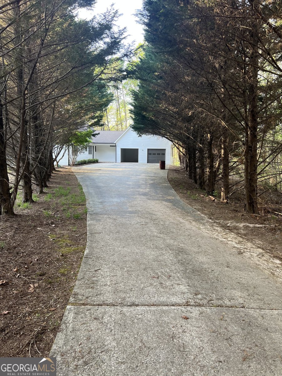 225 Rock Springs Road Lula - Photo 12