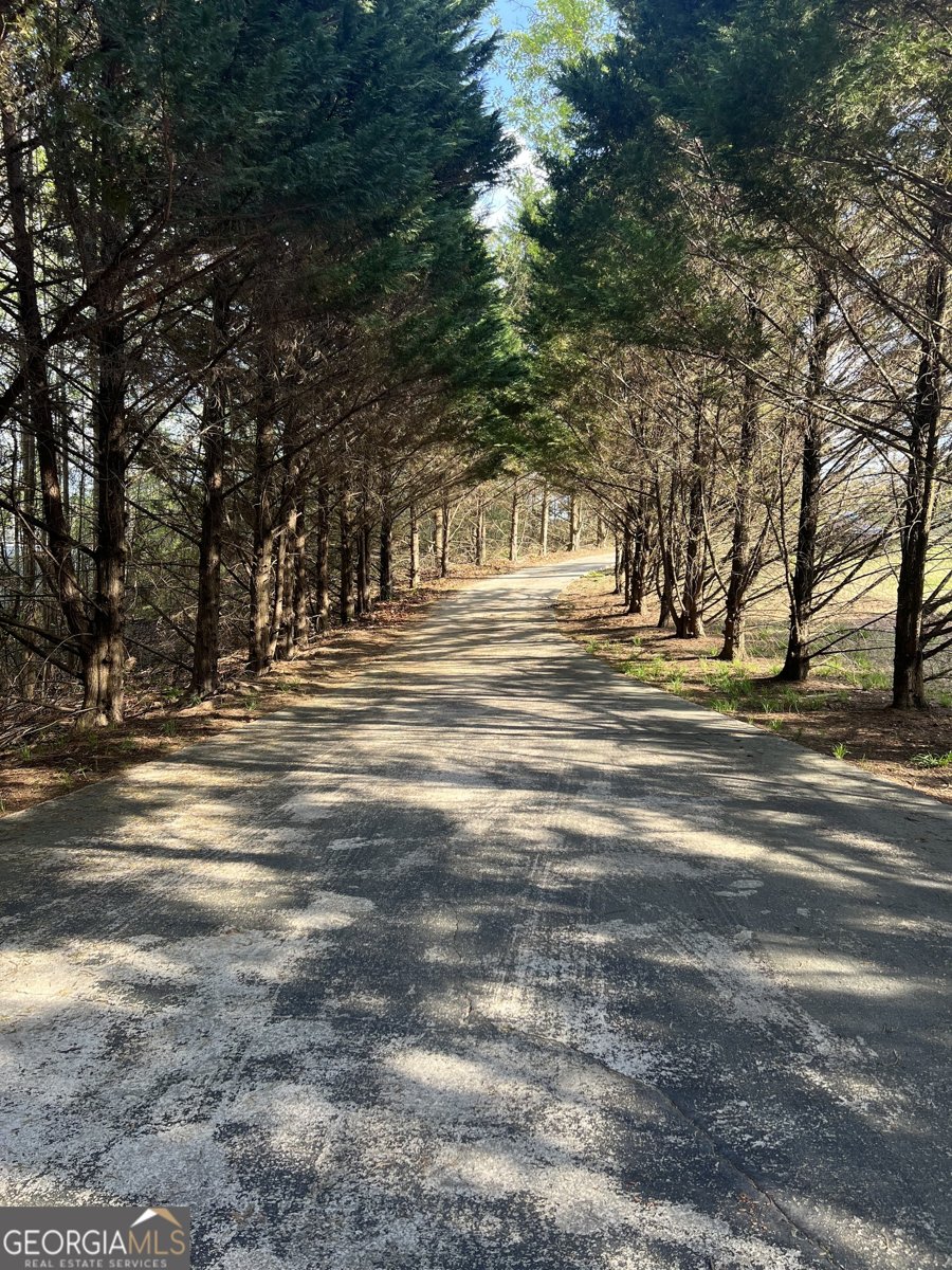 225 Rock Springs Road Lula - Photo 68