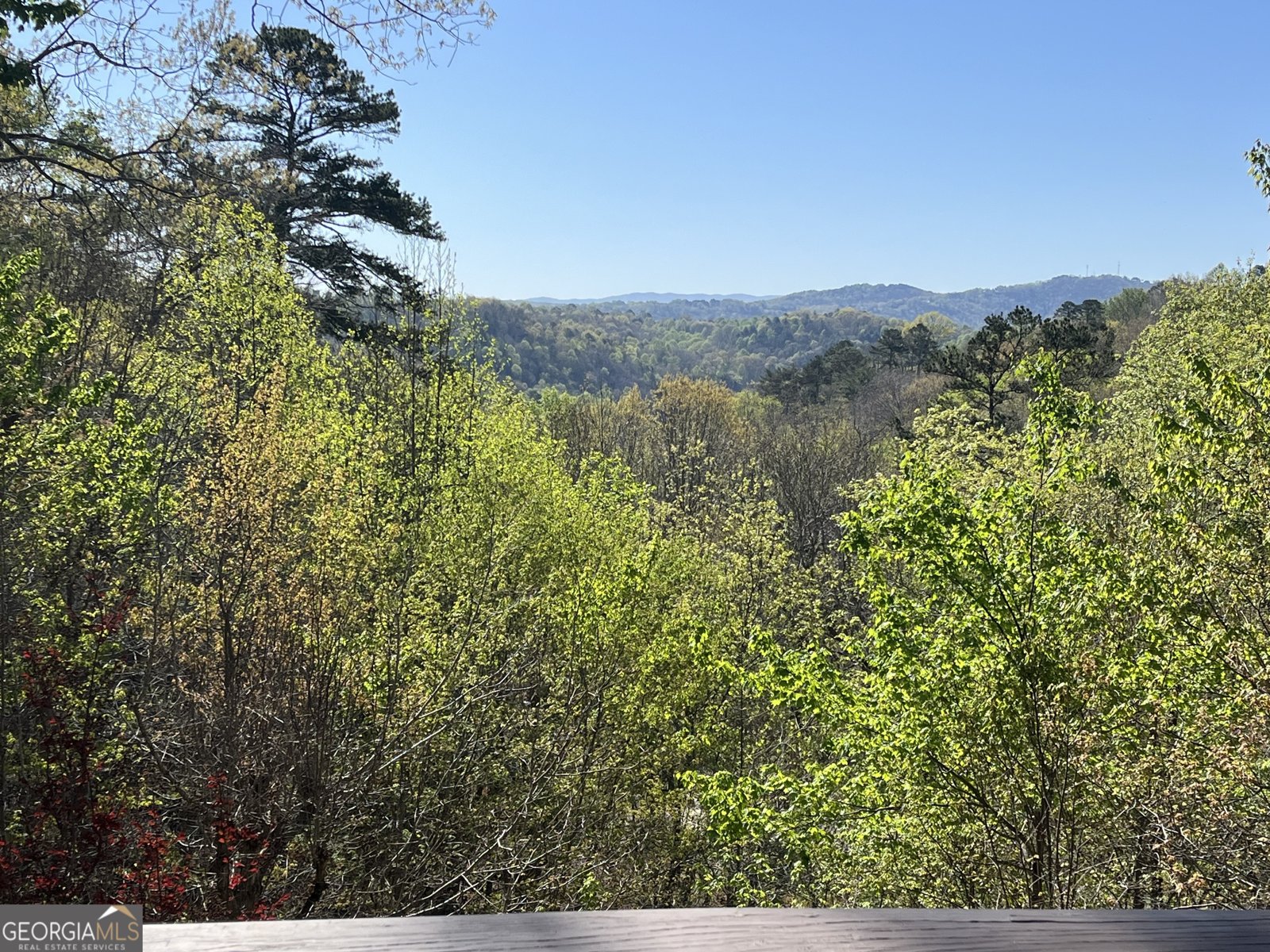 326 Garfield Drive Ellijay - Photo 22