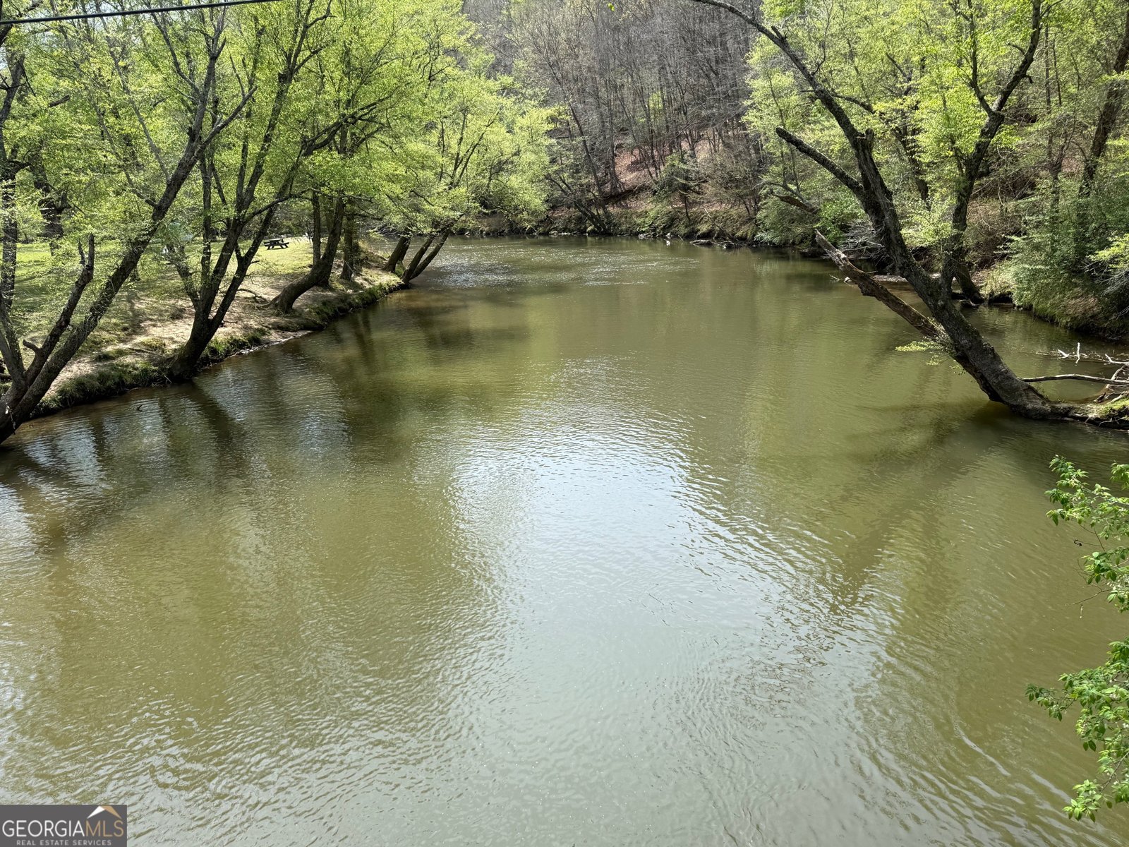 326 Garfield Drive Ellijay - Photo 52