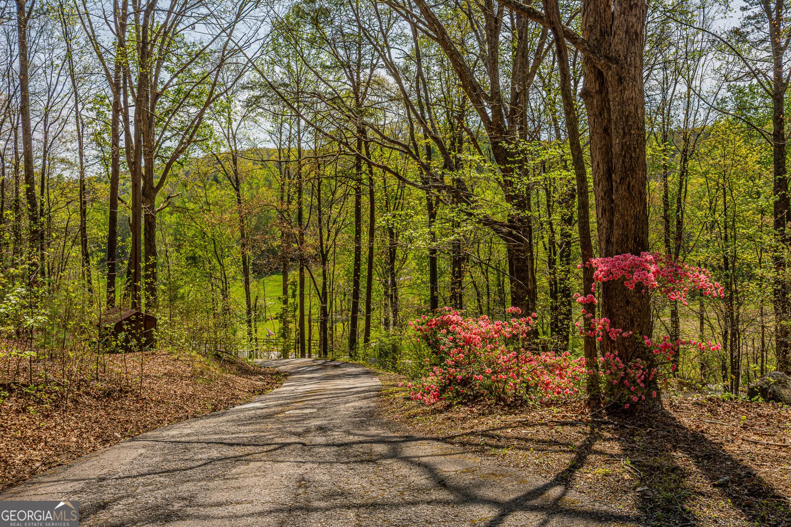 2992 Camp Wahsega Road Dahlonega - Photo 8