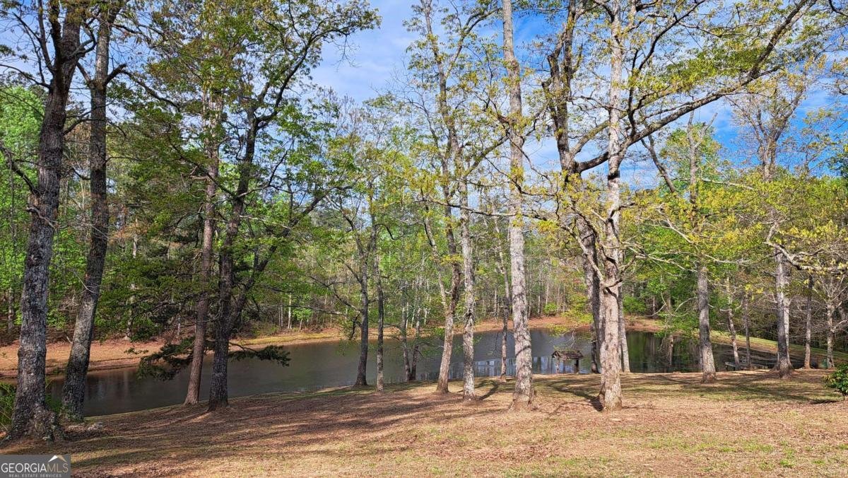 112 Brannon Road Buchanan - Photo 37