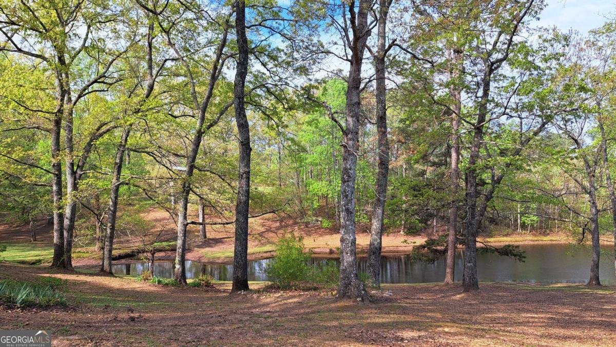 112 Brannon Road Buchanan - Photo 38