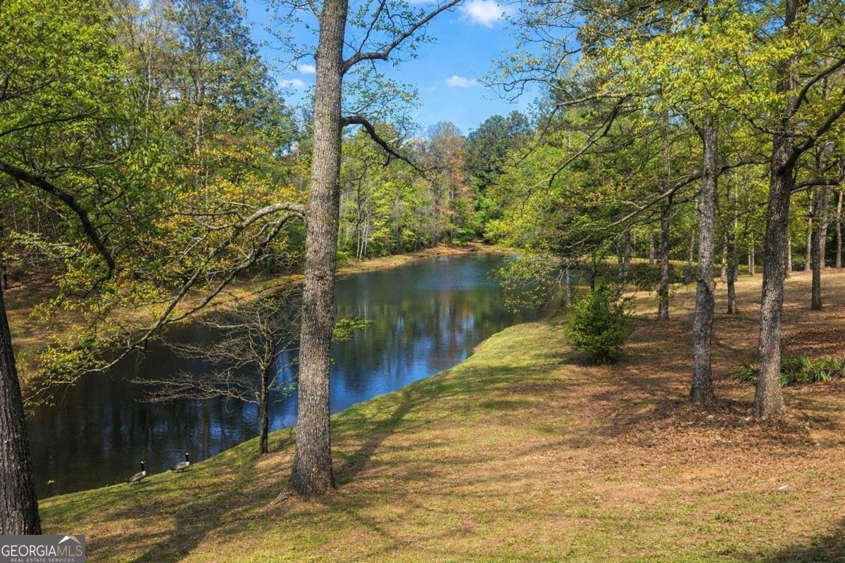 112 Brannon Road Buchanan - Photo 39