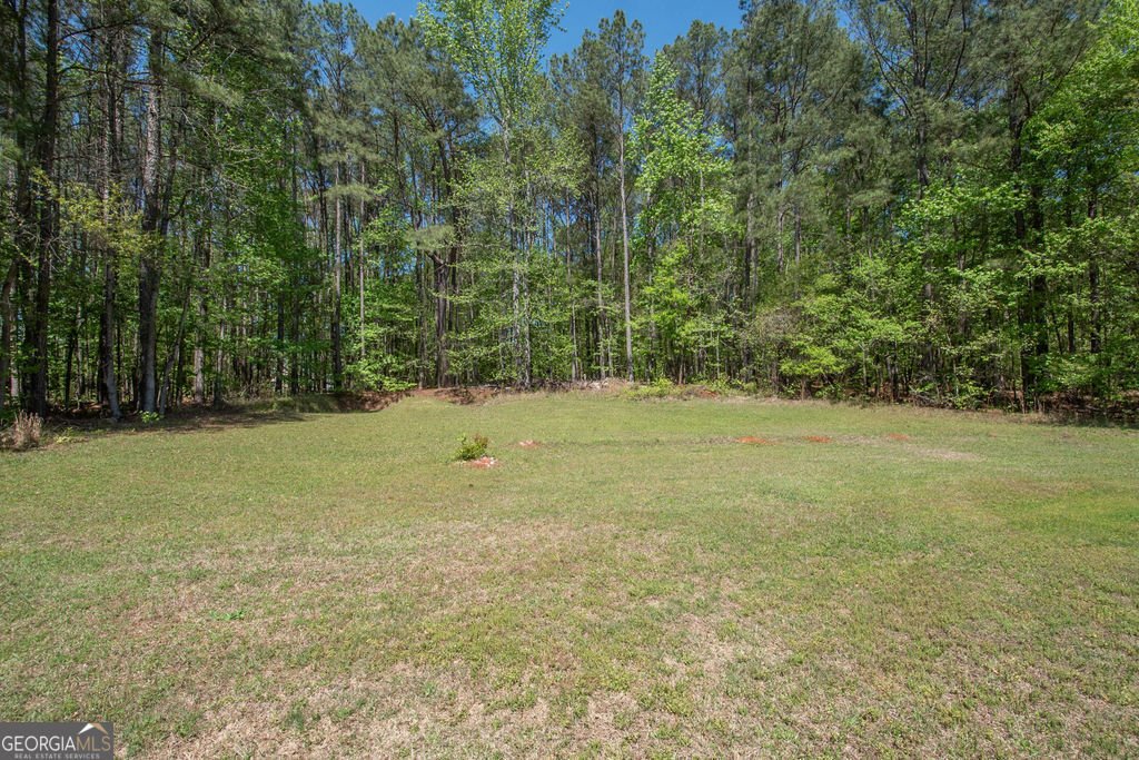105 Applewood Way Fayetteville - Photo 45