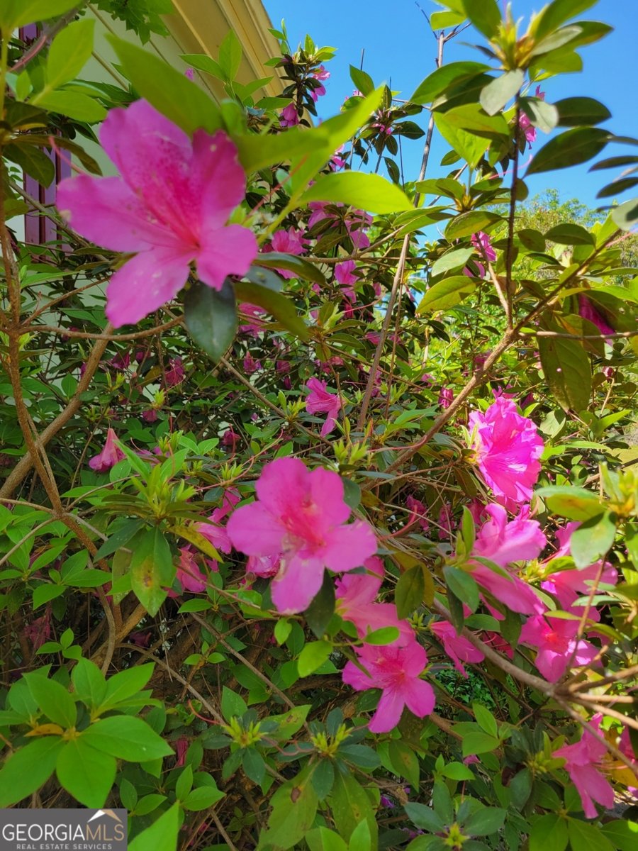 250 Wilcox Road Lagrange - Photo 29