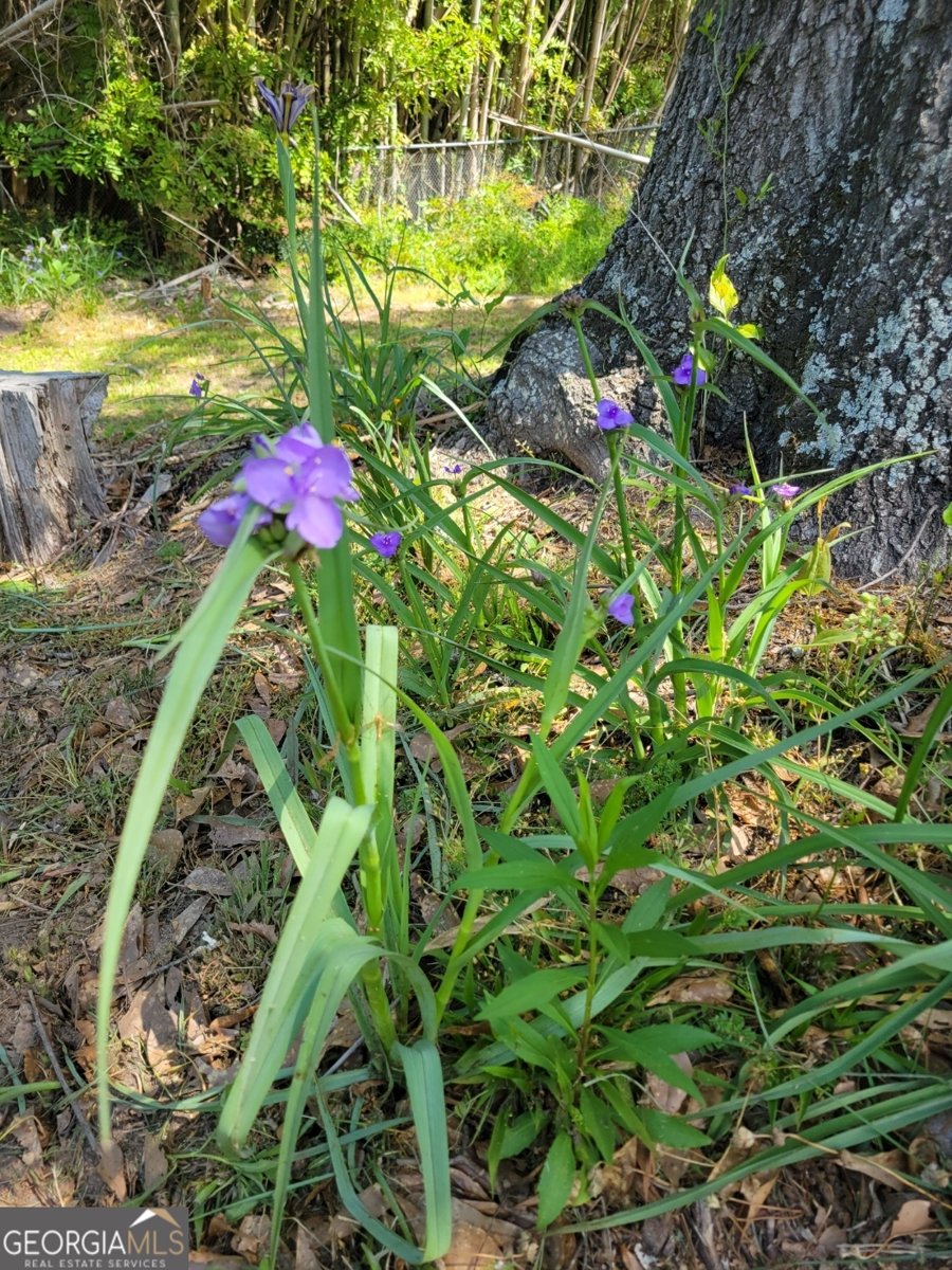 250 Wilcox Road Lagrange - Photo 32