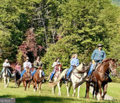 35 Canyon Pass Cleveland - Photo 18