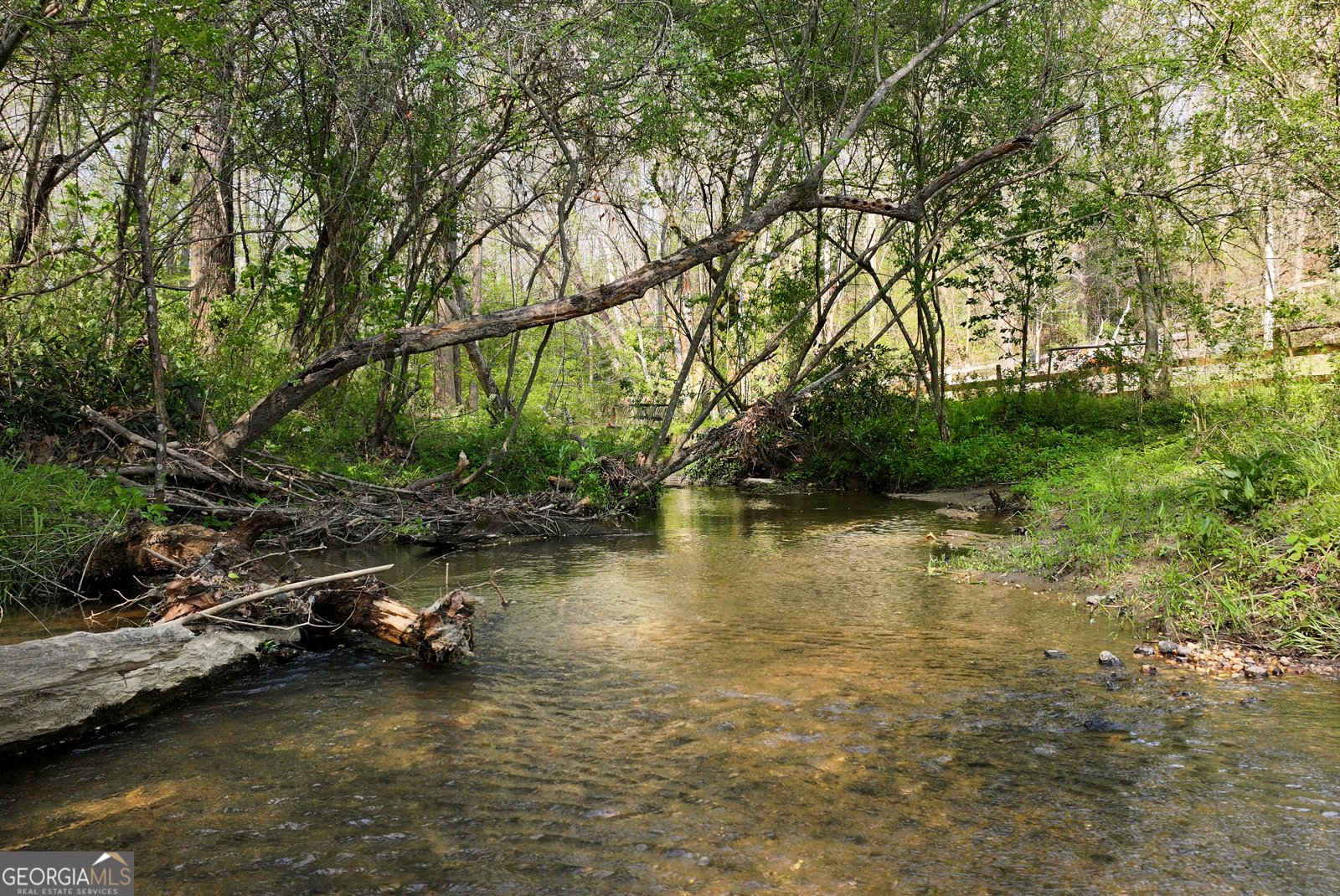 2640 Ben T Huiet Hwy Clarkesville - Photo 44