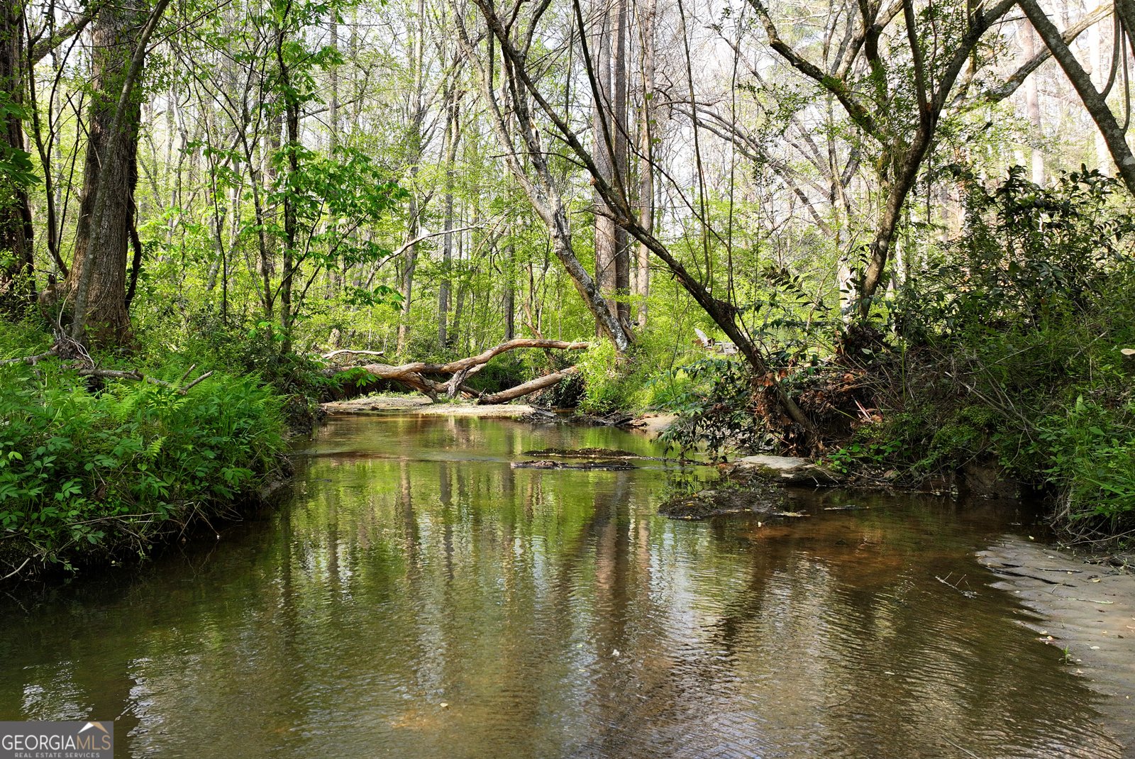 2640 Ben T Huiet Hwy Clarkesville - Photo 45