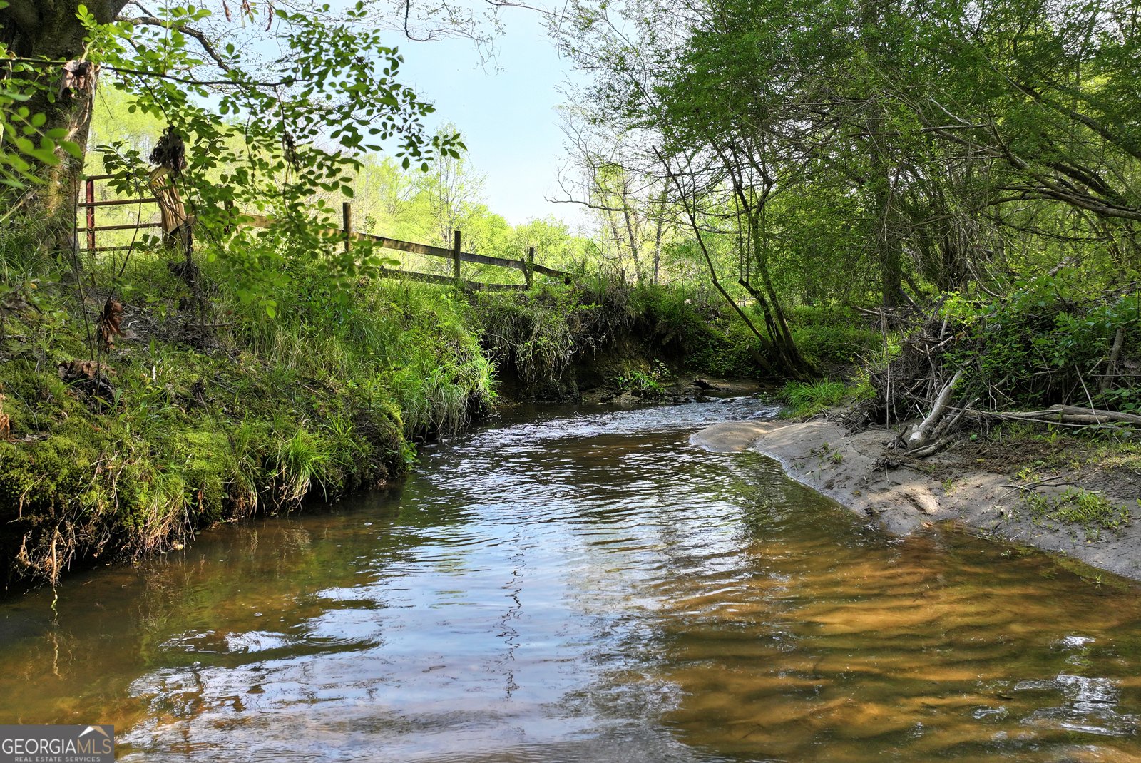 2640 Ben T Huiet Hwy Clarkesville - Photo 46