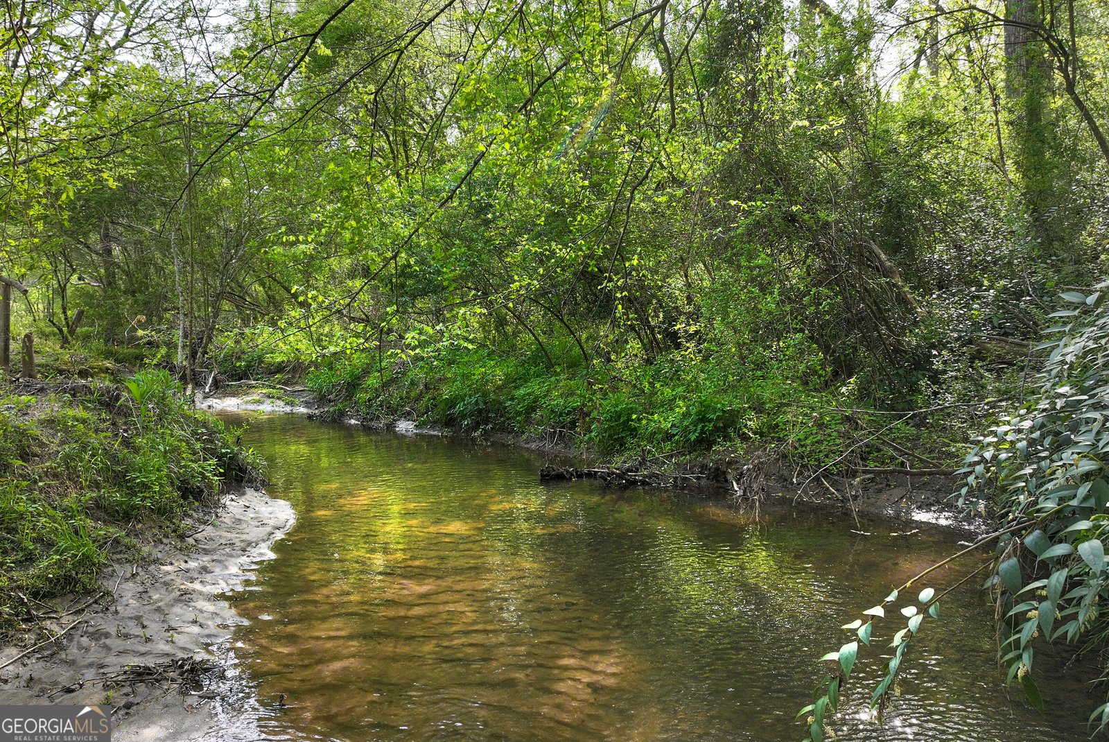 2640 Ben T Huiet Hwy Clarkesville - Photo 47