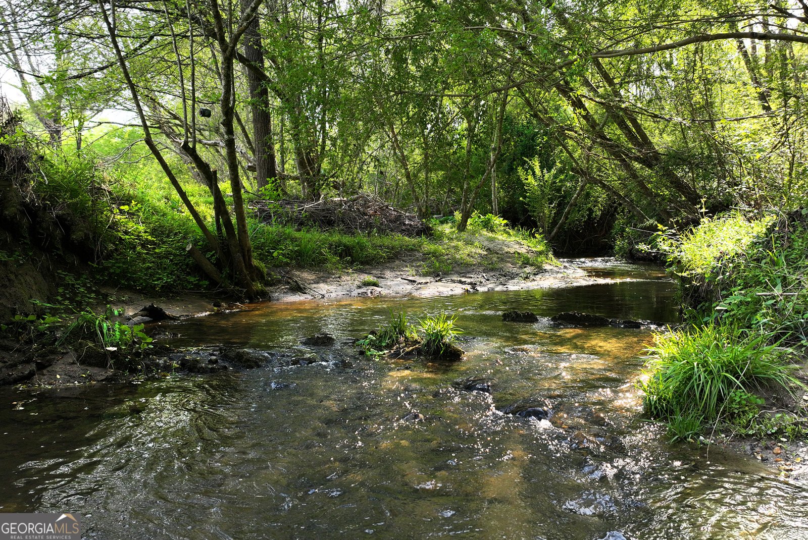 2640 Ben T Huiet Hwy Clarkesville - Photo 48