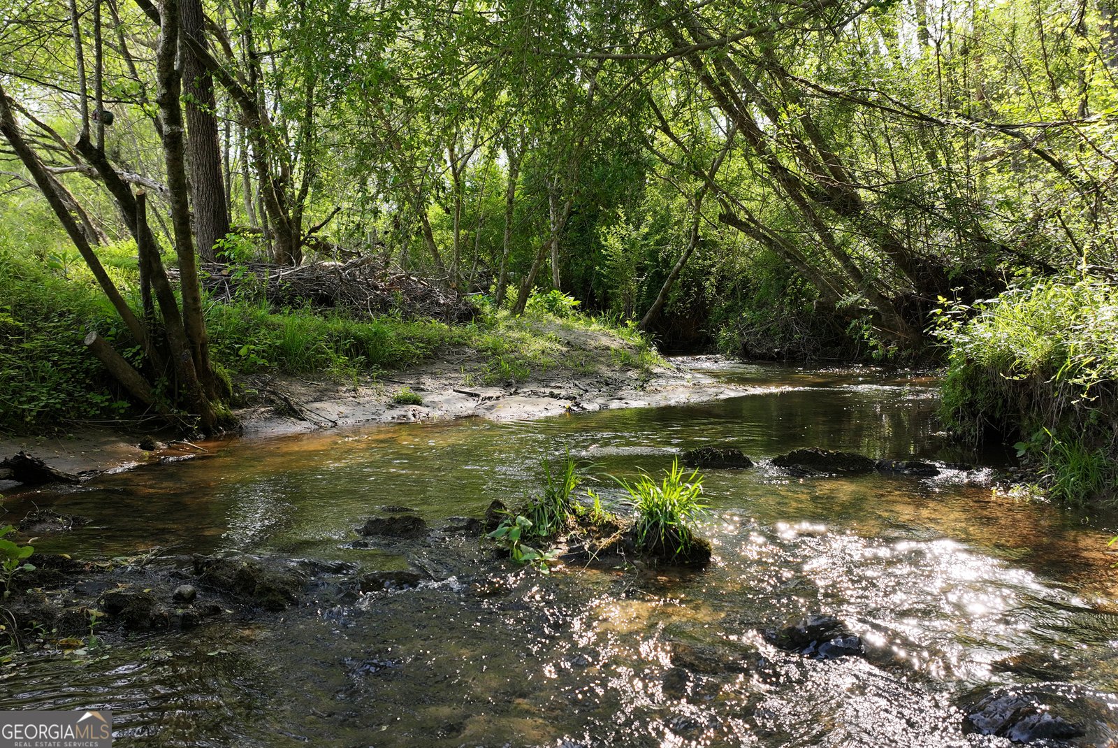 2640 Ben T Huiet Hwy Clarkesville - Photo 49