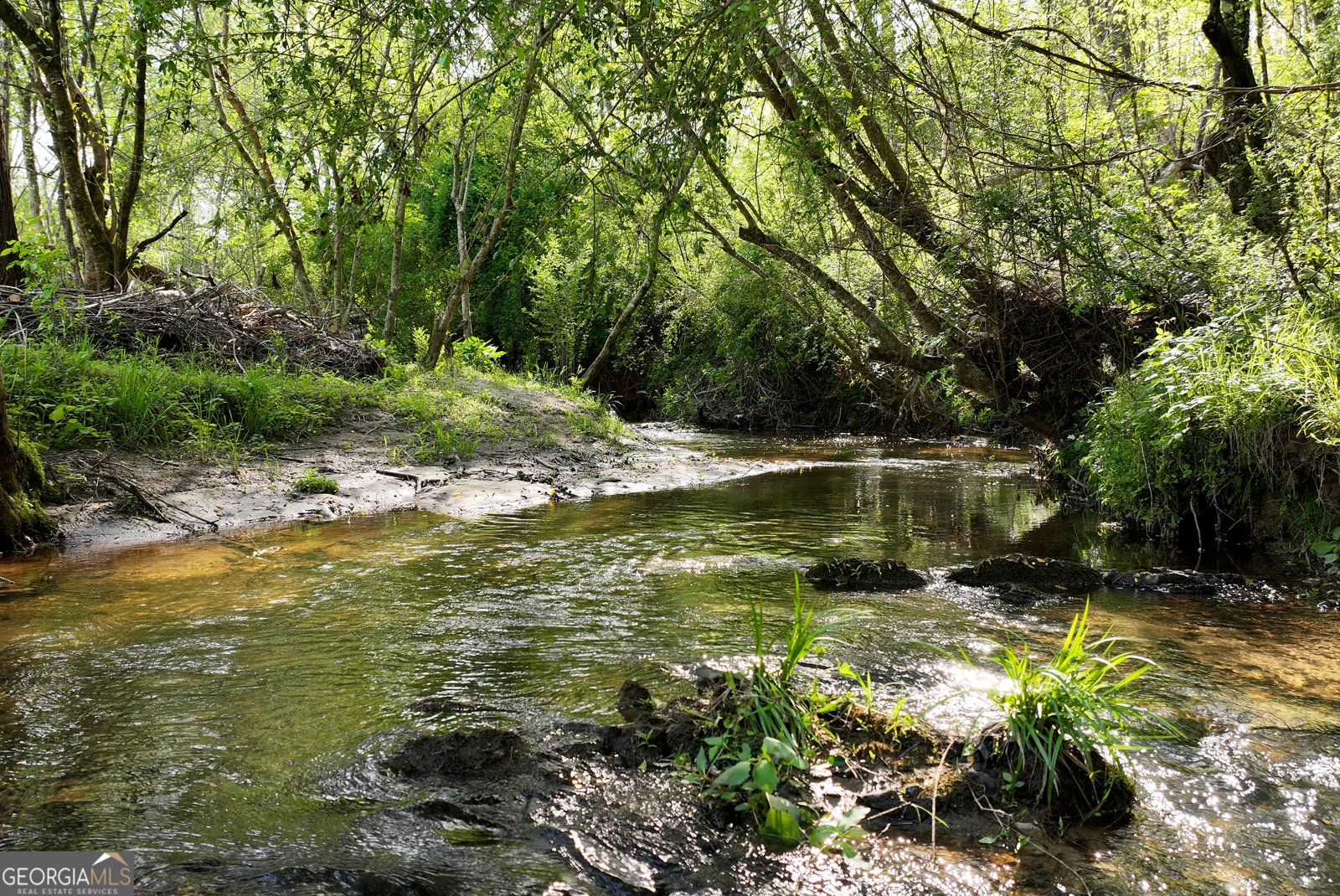 2640 Ben T Huiet Hwy Clarkesville - Photo 50