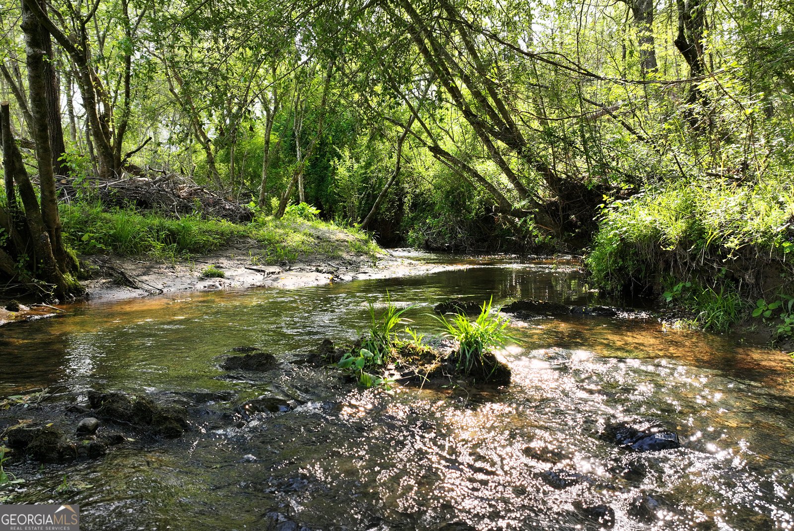 2640 Ben T Huiet Hwy Clarkesville - Photo 51