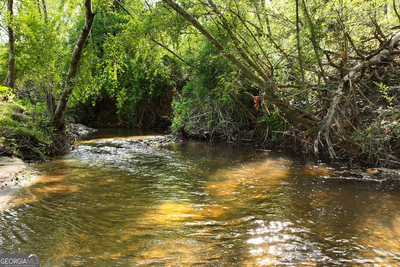 2640 Ben T Huiet Hwy Clarkesville - Photo 52