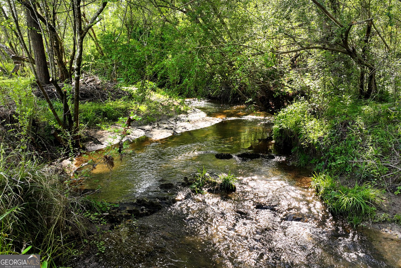 2640 Ben T Huiet Hwy Clarkesville - Photo 54