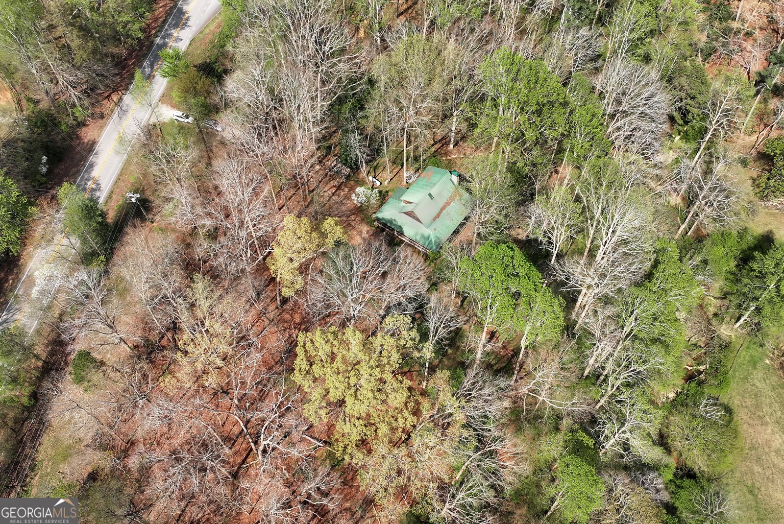 2640 Ben T Huiet Hwy Clarkesville - Photo 58