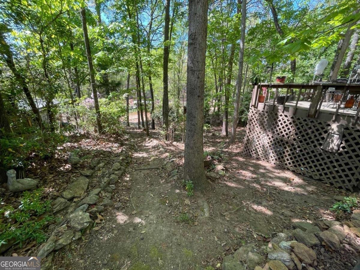 38 Big Water Circle Hartwell - Photo 20