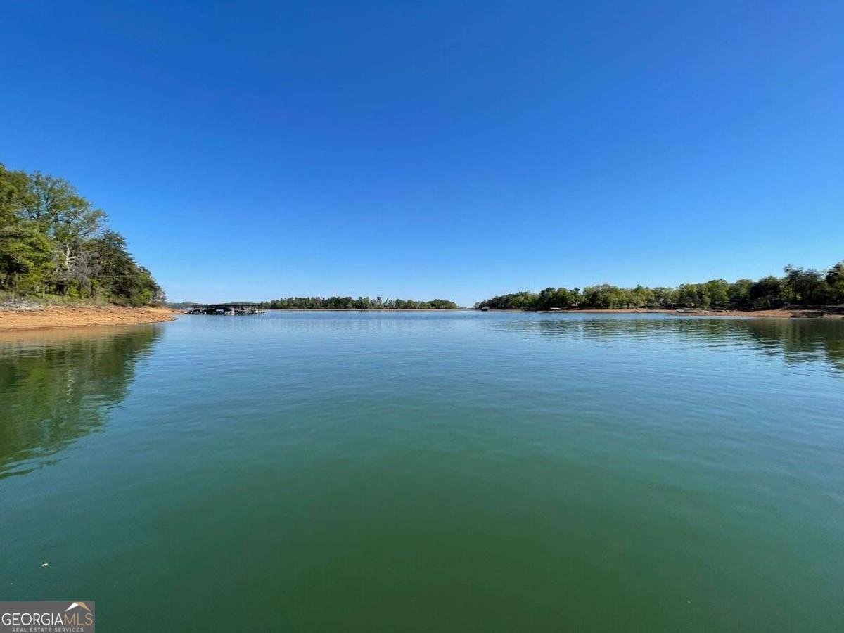 38 Big Water Circle Hartwell - Photo 39