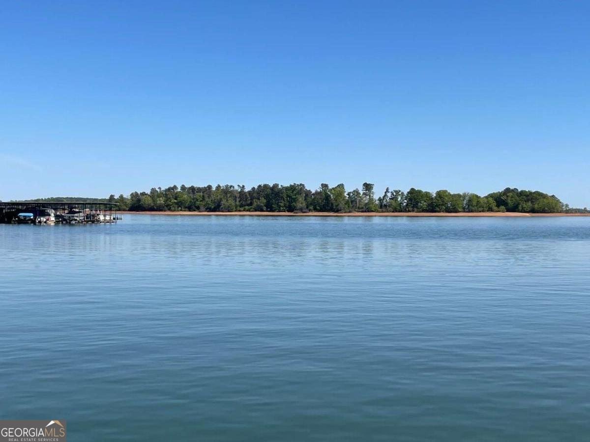 38 Big Water Circle Hartwell - Photo 40