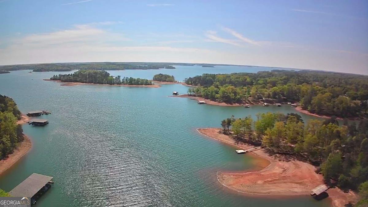 38 Big Water Circle Hartwell - Photo 41