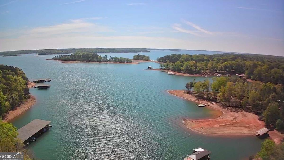 38 Big Water Circle Hartwell - Photo 42