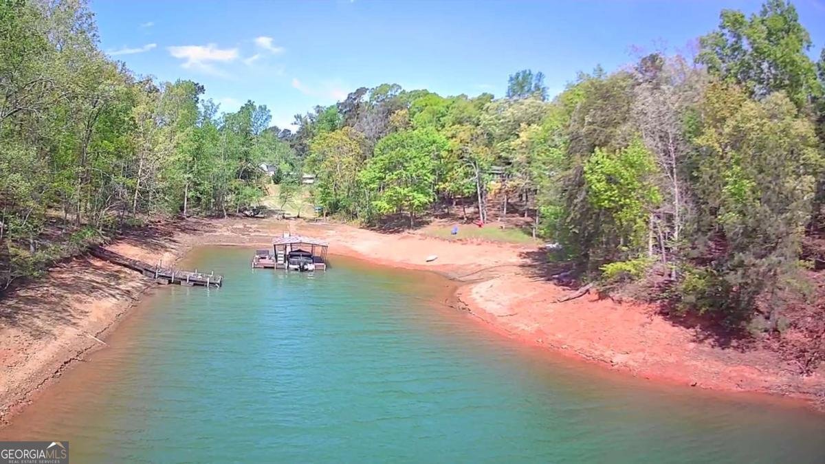 38 Big Water Circle Hartwell - Photo 43