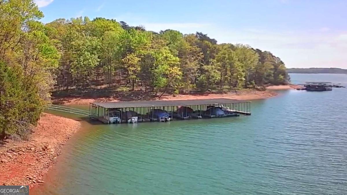 38 Big Water Circle Hartwell - Photo 44