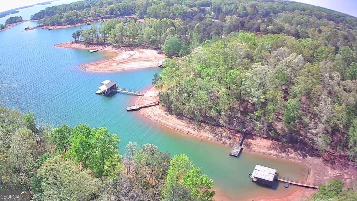 38 Big Water Circle Hartwell - Photo 45
