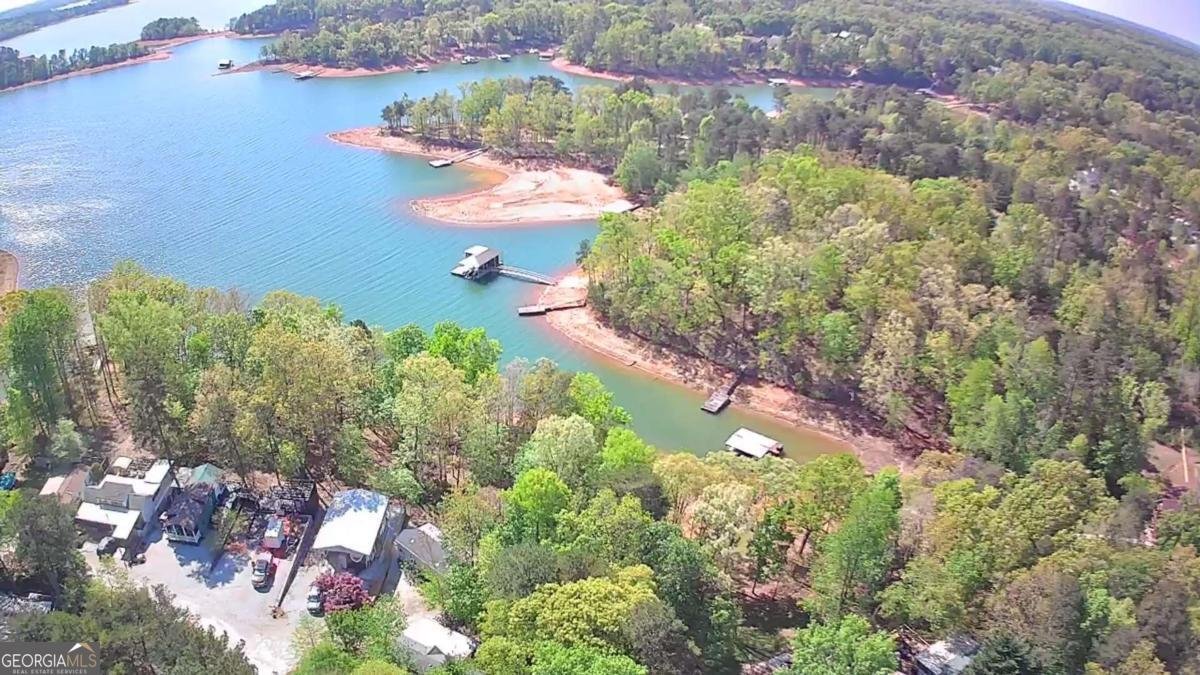 38 Big Water Circle Hartwell - Photo 46