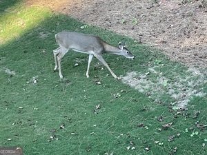 1002 FARMINGTON Road Griffin - Photo 28
