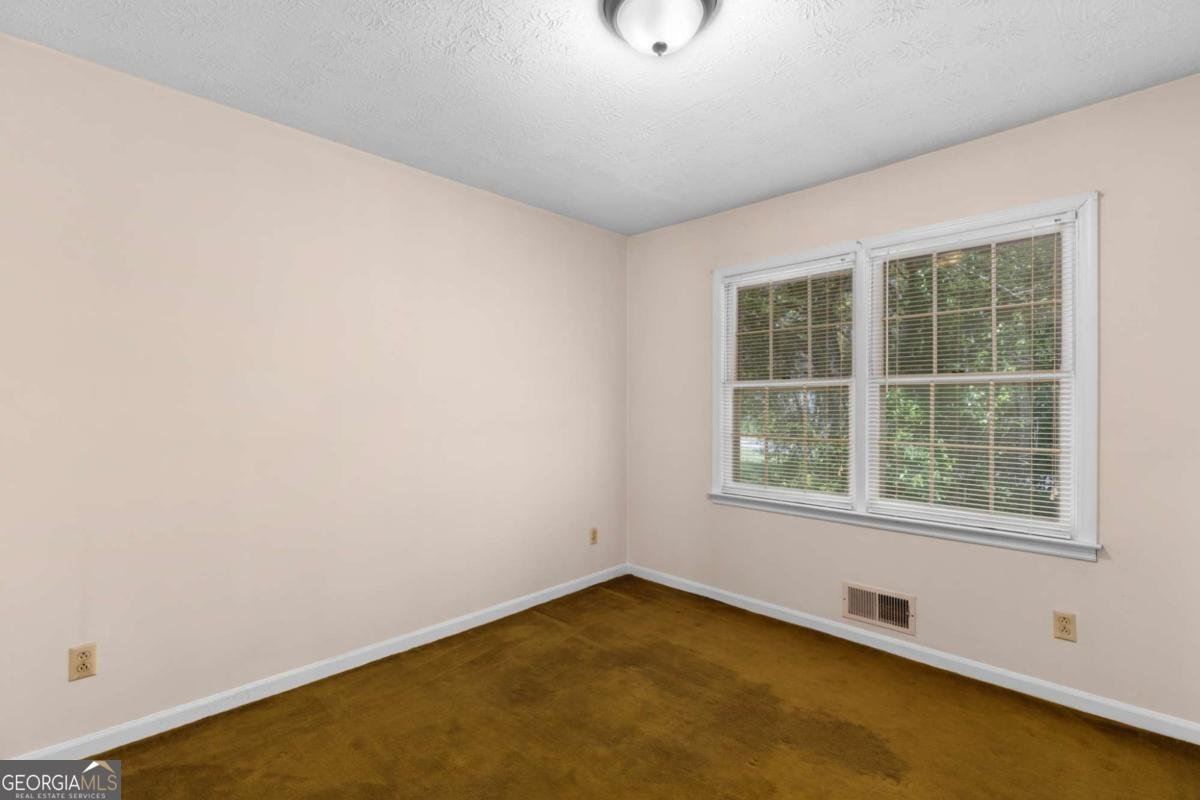 302 Pine Lake Drive Cumming - Photo 28