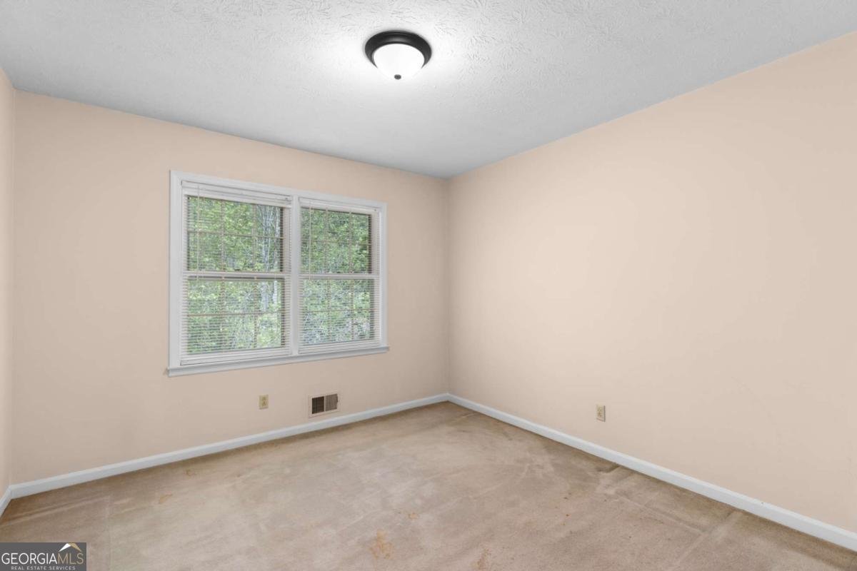 302 Pine Lake Drive Cumming - Photo 30